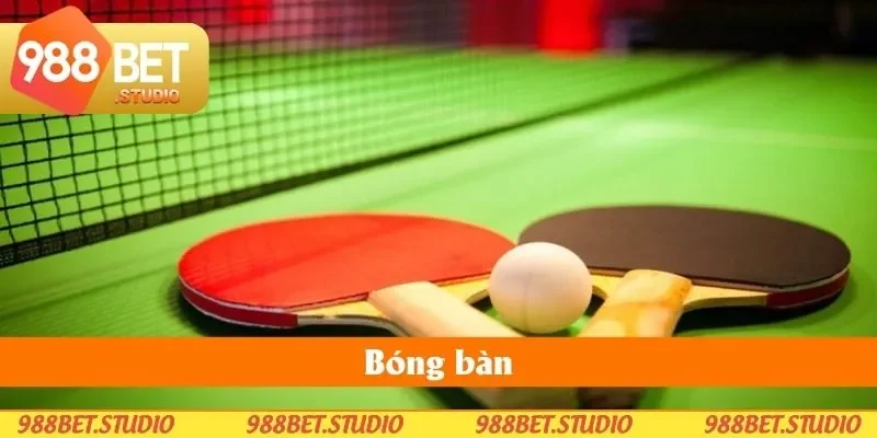 Bóng Bàn - Trải Nghiệm Kịch Tính Từ Bàn Đấu Đến Sân Cược