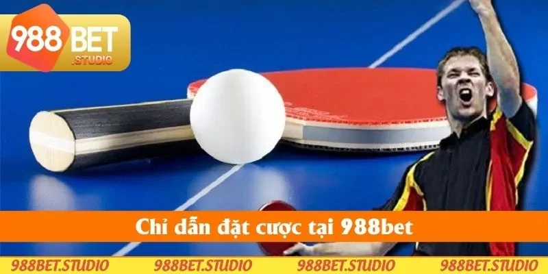 Chỉ dẫn đặt cược tại 988bet