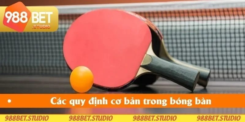 Các quy định cơ bản trong bóng bàn