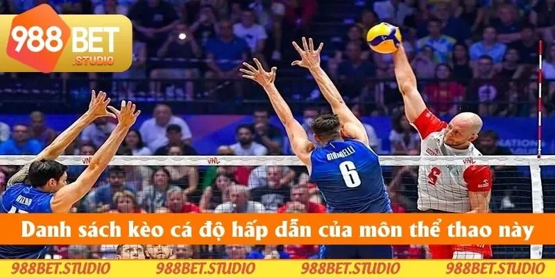 Danh sách kèo cá độ hấp dẫn của môn thể thao này