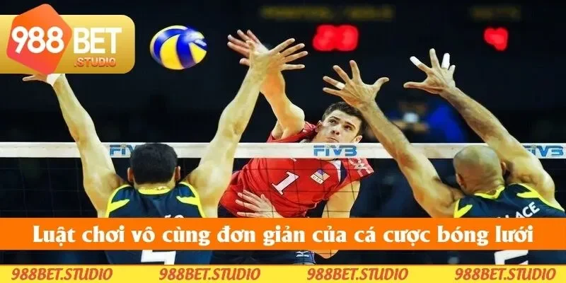 Luật chơi vô cùng đơn giản của cá cược bóng lưới