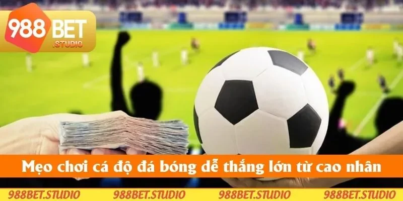 Mẹo chơi cá độ đá bóng dễ thắng lớn từ cao nhân