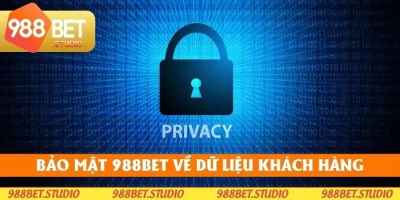 Điều khoản về chính sách bảo mật dữ liệu thành viên 