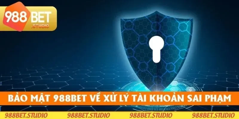 Quy định xử lý tài khoản khi hội viên vi phạm