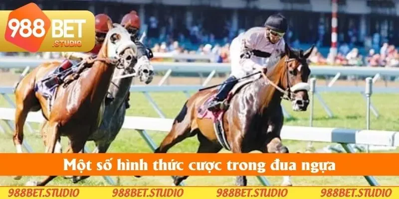Một số hình thức cược trong đua ngựa