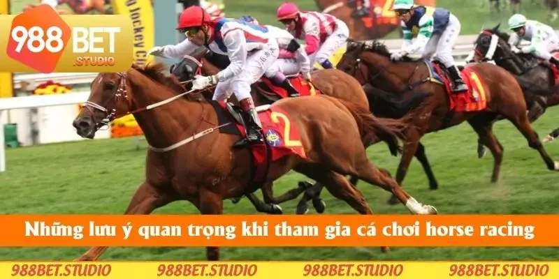 Những lưu ý quan trọng khi tham gia chơi horse racing