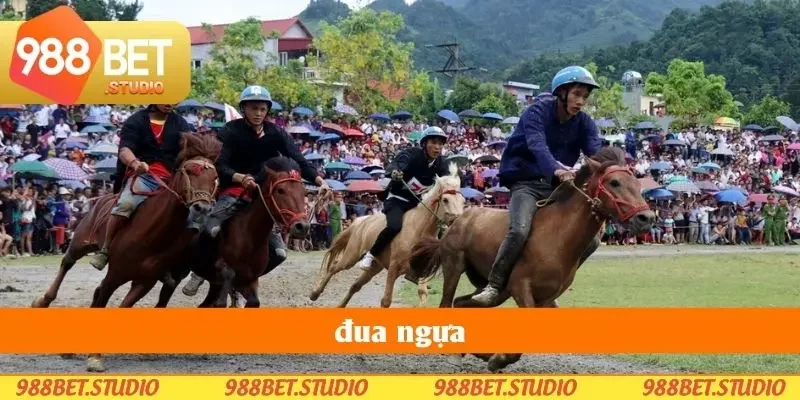 Đua Ngựa - Một Môi Trường Cá Cược Đầy Cơ Hội Và Thử Thách