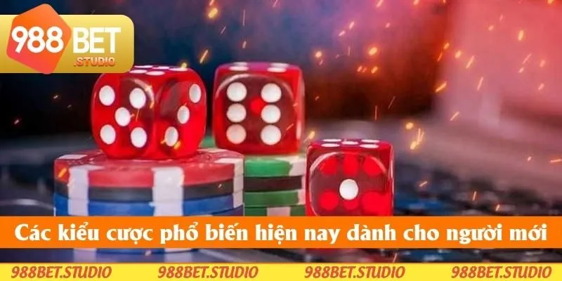 Các kiểu cược phổ biến hiện nay dành cho người mới