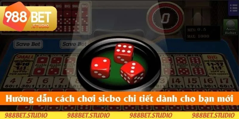 Hướng dẫn cách chơi sicbo chi tiết dành cho bạn mới