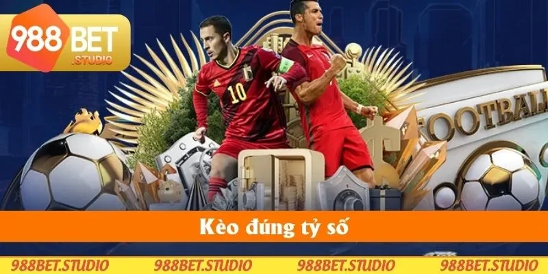 Bạn chọn đúng tỷ số chỉ khi đã có đủ kinh nghiệm tham gia