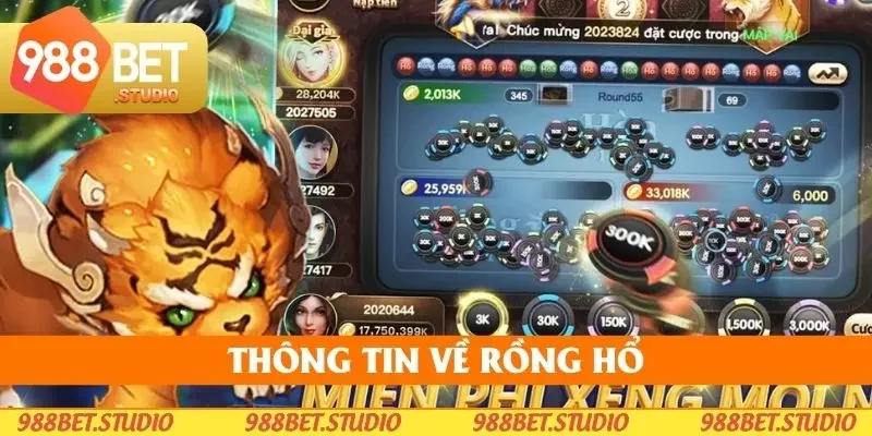 Vài thông tin chi tiết cơ bản về rồng hổ 988bet